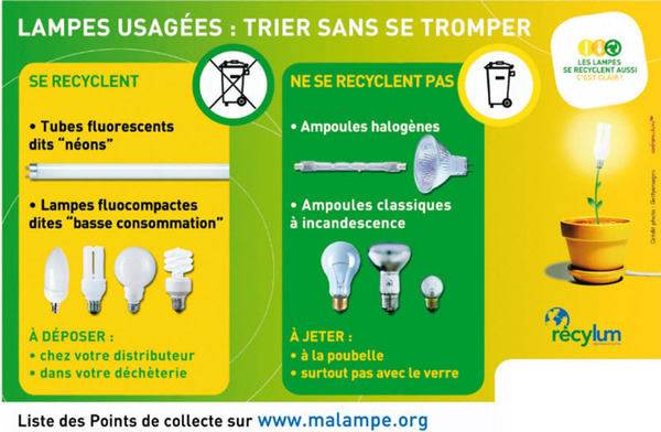 Recyclage des ampoules : ce qu'il faut savoir – Blog BUT